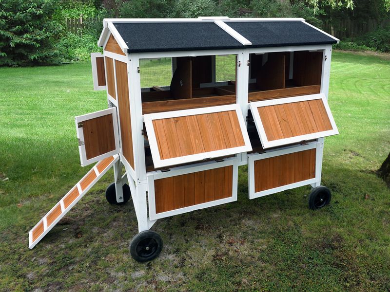 Free-Range Chicken Coop