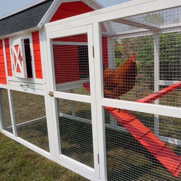 Big Farm Chicken Coop