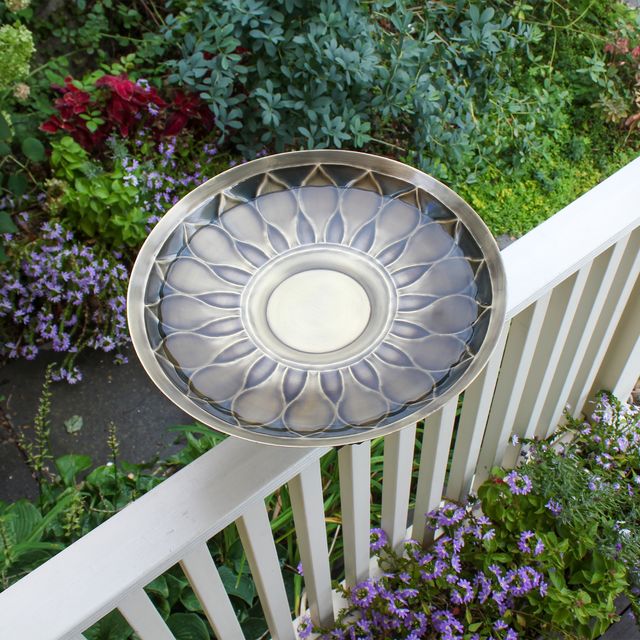 African Daisy Birdbath- Over Rail Bracket