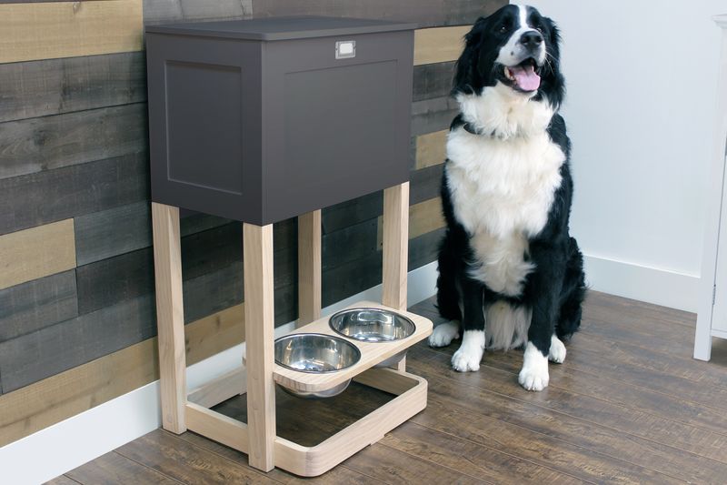 Pet Feeder Station, Gray