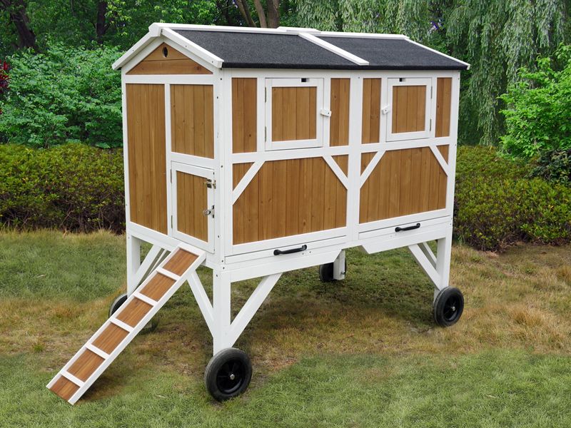 Free-Range Chicken Coop