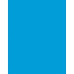 PEACOCK &#34;Pacon PAC53861 Coated Poster Board, Blue, 22&#34;&#34; x 28&#34;&#34;, 25 Sheets&#34;