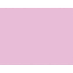Peacock Railroad Board, 4-Ply, 25 Boards Poster Board, 22&#34;X28&#34;, Pink (5468-1)