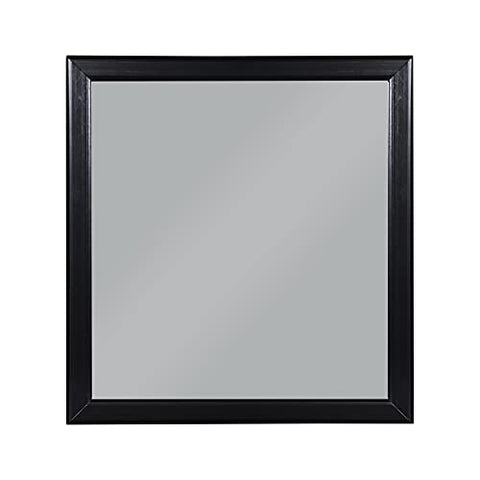 ACME Furniture 23734 Louis Philippe Mirror, Black