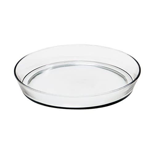 10 Glass Tray