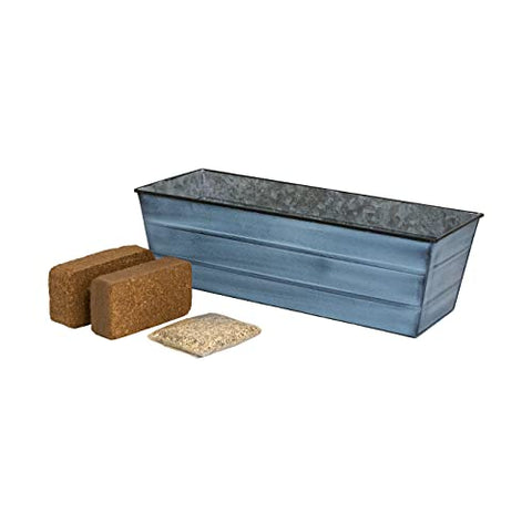 Bloom Box Garden Growing Kit Medium Nantucket Blue