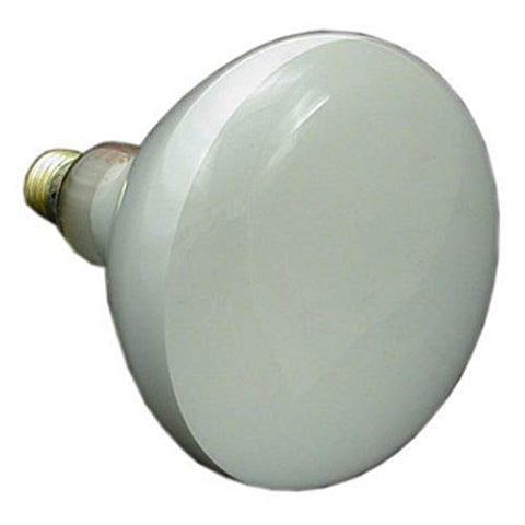 Zodiac R0450504 120-Volt/500-Watt Lamp Replacement for Select Zodiac Jandy Pool Large White Incandescent Light