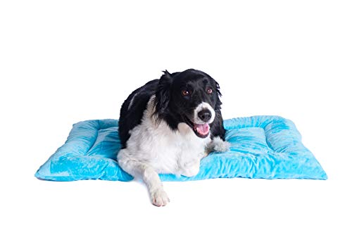 Armarkat Pet Bed Mat 35-Inch by 22-Inch by 3-Inch M01-Large, Sky Blue