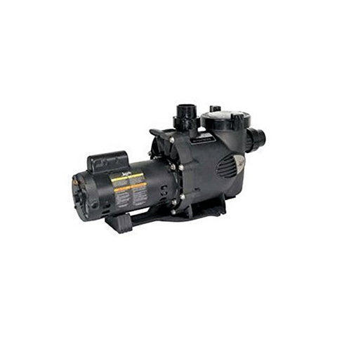 Zodiac WFTR120 120-GPM Medium Heat WaterFeature Pump