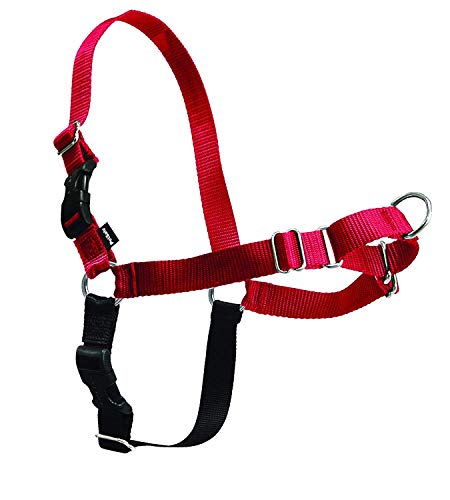 Premier Easy Walk Harness M Red