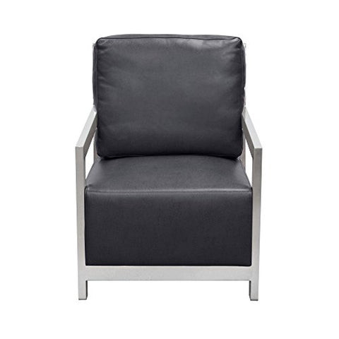 Zen Accent Chair w/ Stainless Steel Frame by Diamond Sofa - Black