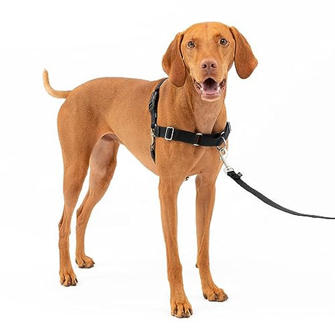 Premier Easy Walk Harness M Blk