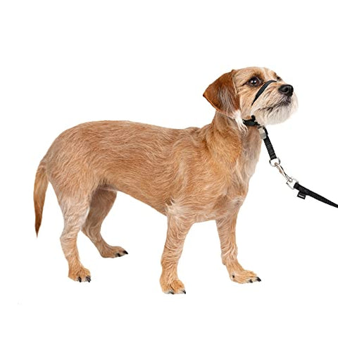 Gentle Leader Headcollar To 25lb S Blk