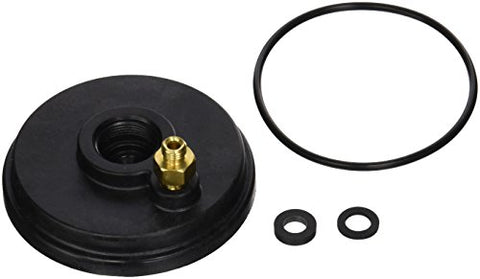 Zodiac R0455400 Cap Sensor and Pressure Switch with O-Ring Replacement for Select Zodiac Jandy Legacy and LXi Pool and Spa Heaters