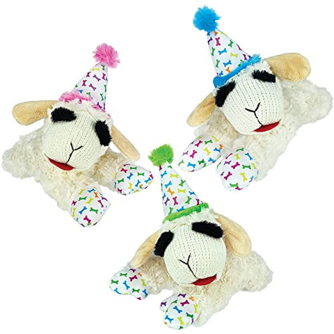 Birthday Lamb Chop 10.5In