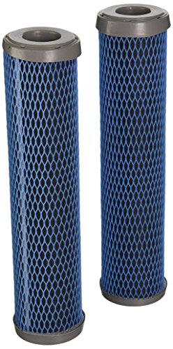 TASTE/ODOR CARTRIDGE 2PK