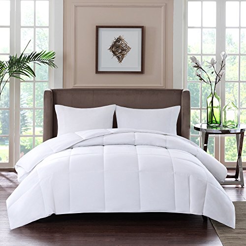 Year Round Warmth 300 Thread Count Cotton Sateen Down Alternative 3M Thinsulate Comforter