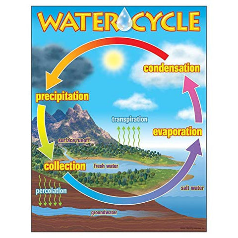Trend Enterprises Inc Chart The Water Cycle