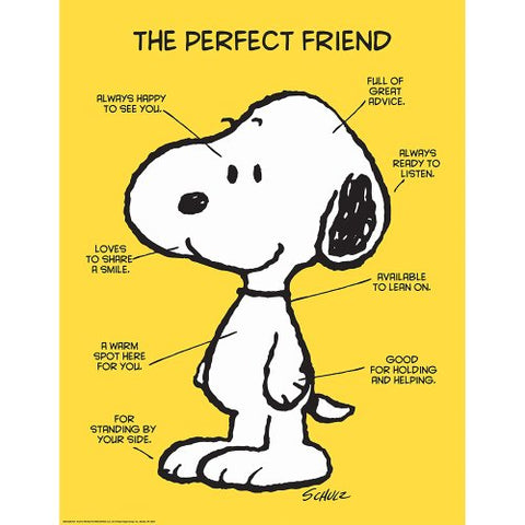 Eureka Classroom Posters, Measures: 17&#34; x 22&#34; - Peanuts The Perfect Friend
