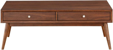 Vasily 48 in. Brown Rectangular Wood Coffee Table with Two Functional Drawers