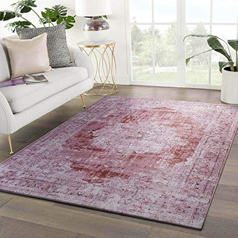 Gardenia Traditional Vintage Oriental Distressed Abstract Area Rug in Pink Color for Living Room Bedroom, 5x7