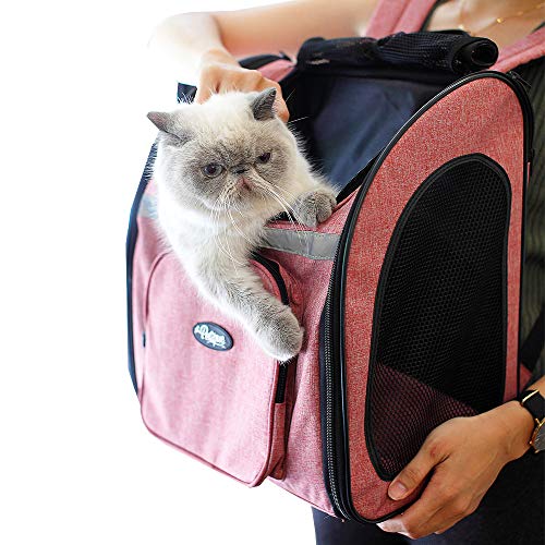 Petique The Backpacker Pet Carrier for Dogs, Cats, Small Animals