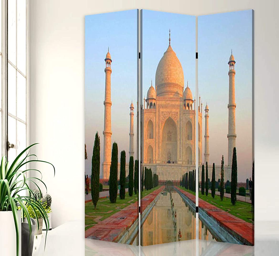 Screen Gems Taj Mahal Room Divider