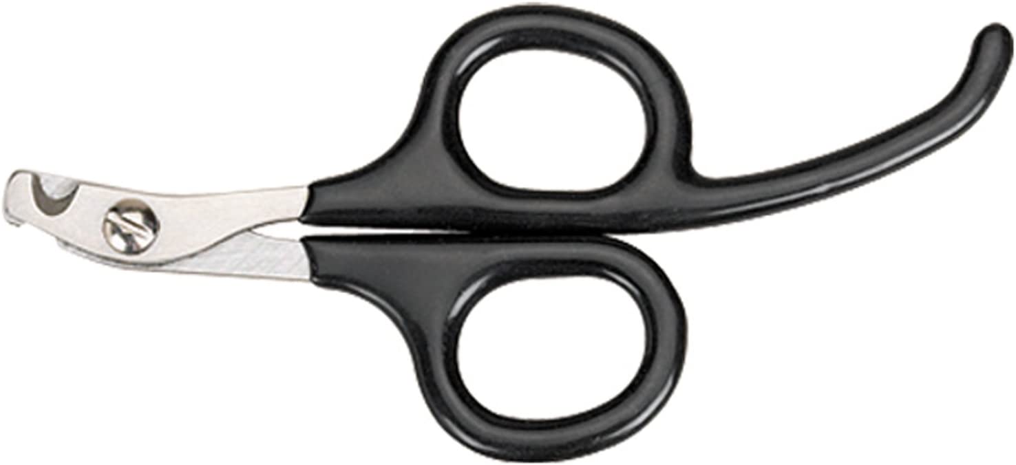 Master Grooming Tools Pet Nail Scissors with Finger Rests√É¬¢√¢‚Äö¬¨√¢‚Ç¨¬ùStainless Steel Scissors for Trimming Nails on Cats and Birds - Small, 3√É‚Äö√Ç¬Ω&#34;