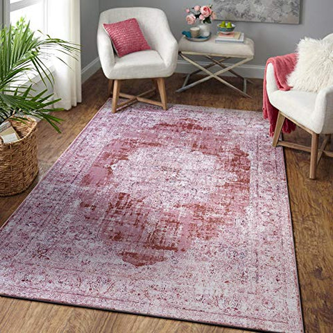 Gardenia Traditional Vintage Oriental Distressed Abstract Area Rug in Pink Color for Living Room Bedroom, 4x6
