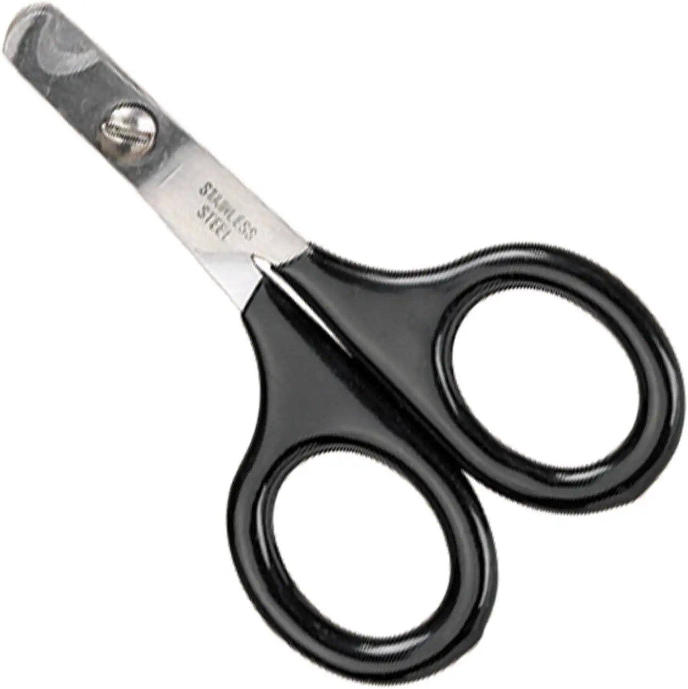 Master Grooming Tools Pet Nail Scissors √É¬¢√¢‚Äö¬¨√¢‚Ç¨¬ù Stainless Steel Scissors for Trimming Nails on Cats and Birds - Small, 3√É‚Äö√Ç¬Ω&#34;