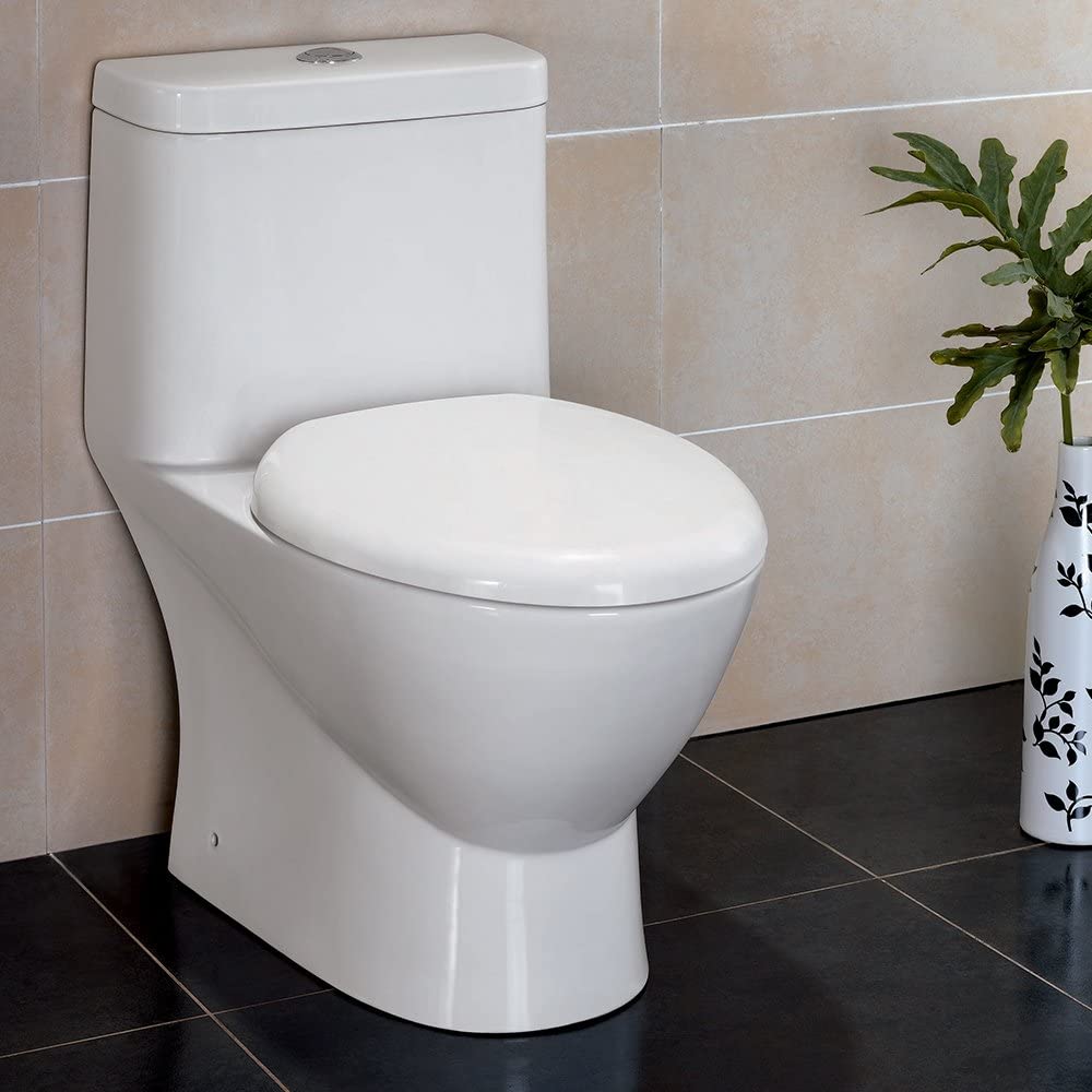 Fresca FTL2346 Serena Dual Flush Toilet with Soft Close Seat (1 Piece), Ceramic