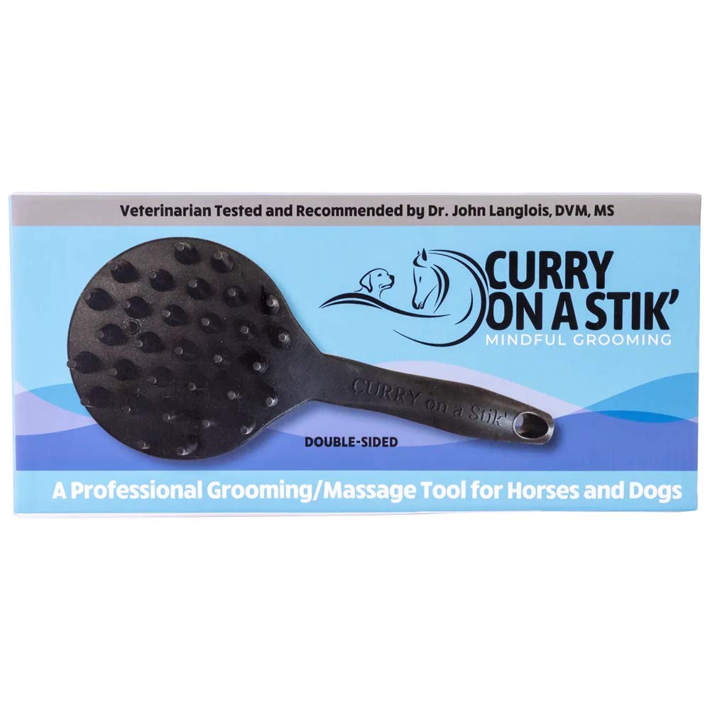 Curry On A Stik