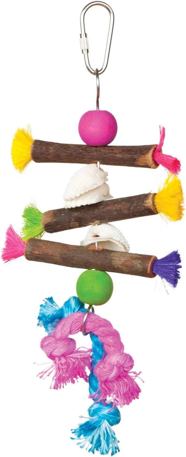 Prevue Hendryx 62505 Tropical Teasers Shells and Sticks Bird Toy