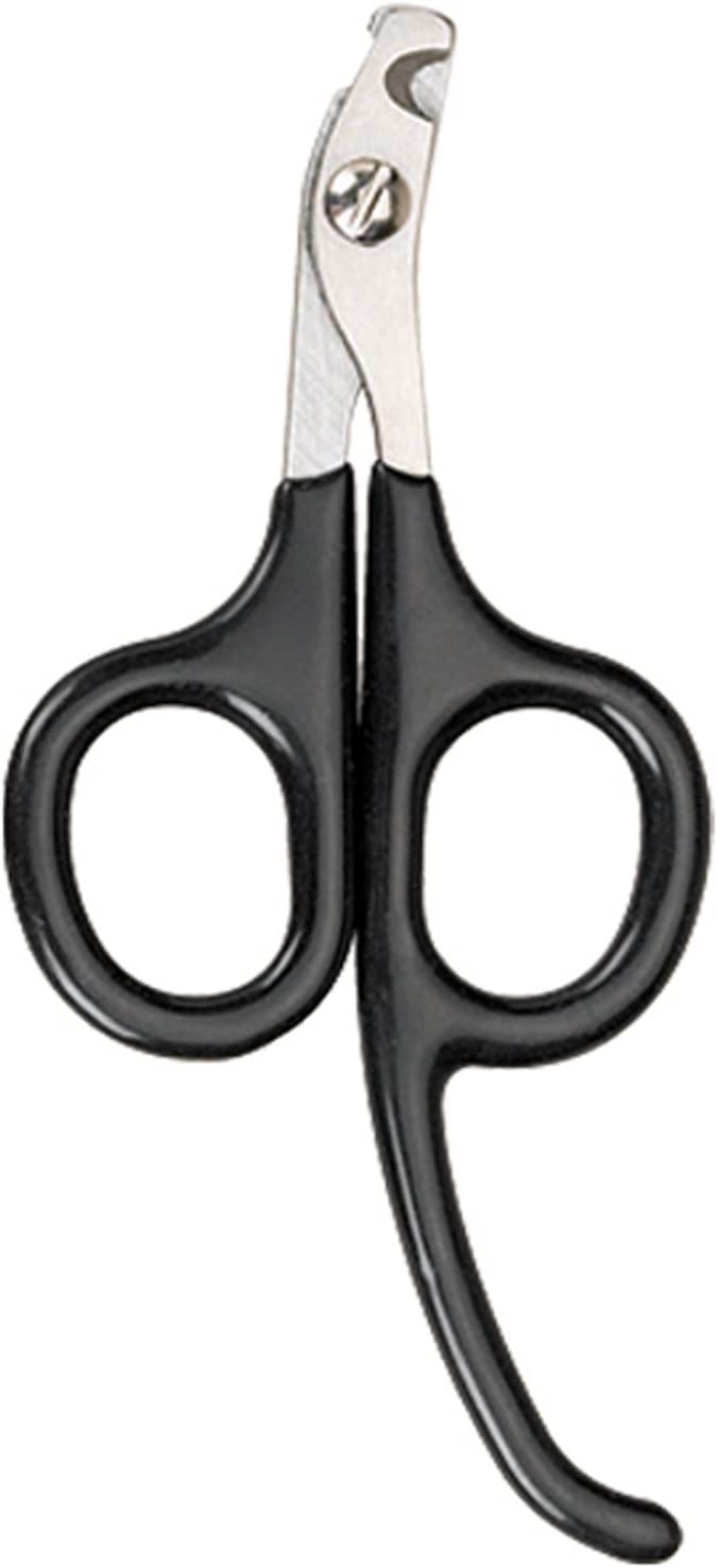 Master Grooming Tools Pet Nail Scissors with Finger Rests√É¬¢√¢‚Äö¬¨√¢‚Ç¨¬ùStainless Steel Scissors for Trimming Nails on Cats and Birds - Small, 3√É‚Äö√Ç¬Ω&#34;