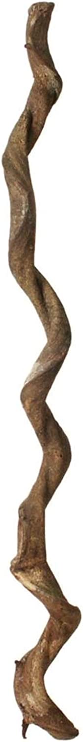 Prevue Pet Products BPV62399 Wacky Wood Lima Root Bird Perch Toy, 36-Inch, Brown