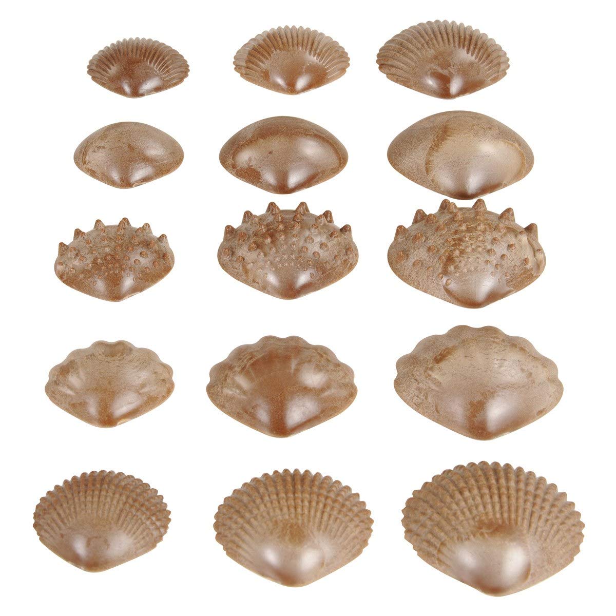 edxeducation Tactile Shells - Eco-Friendly - 36 Pieces, 6 Textures, 3 Sizes - Ages 18m+ - Sensory Play - Dough and Clay Toys