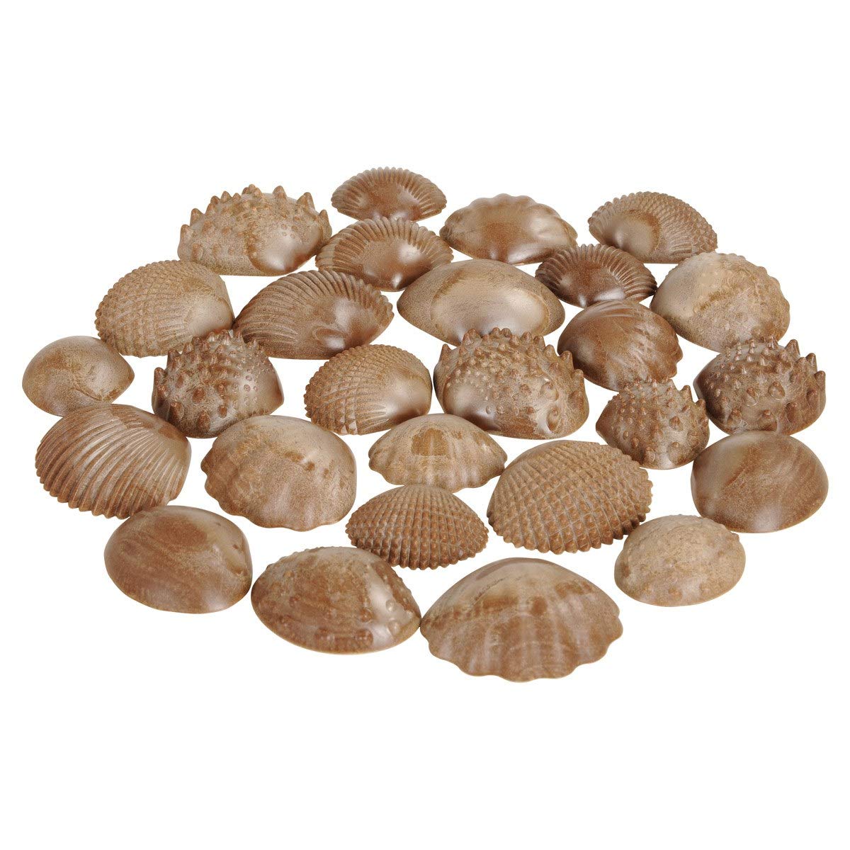 edxeducation Tactile Shells - Eco-Friendly - 36 Pieces, 6 Textures, 3 Sizes - Ages 18m+ - Sensory Play - Dough and Clay Toys