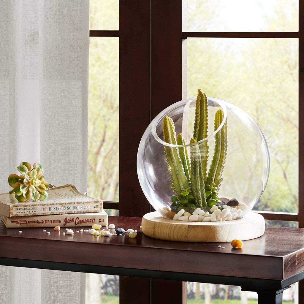 Madison Park Bubble Terrarium with Wood Base-Modern Living Room Table Home Decorations Large, Clear