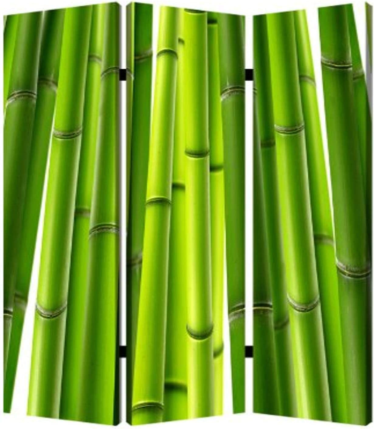 Screen Gems Bamboo Room Divider