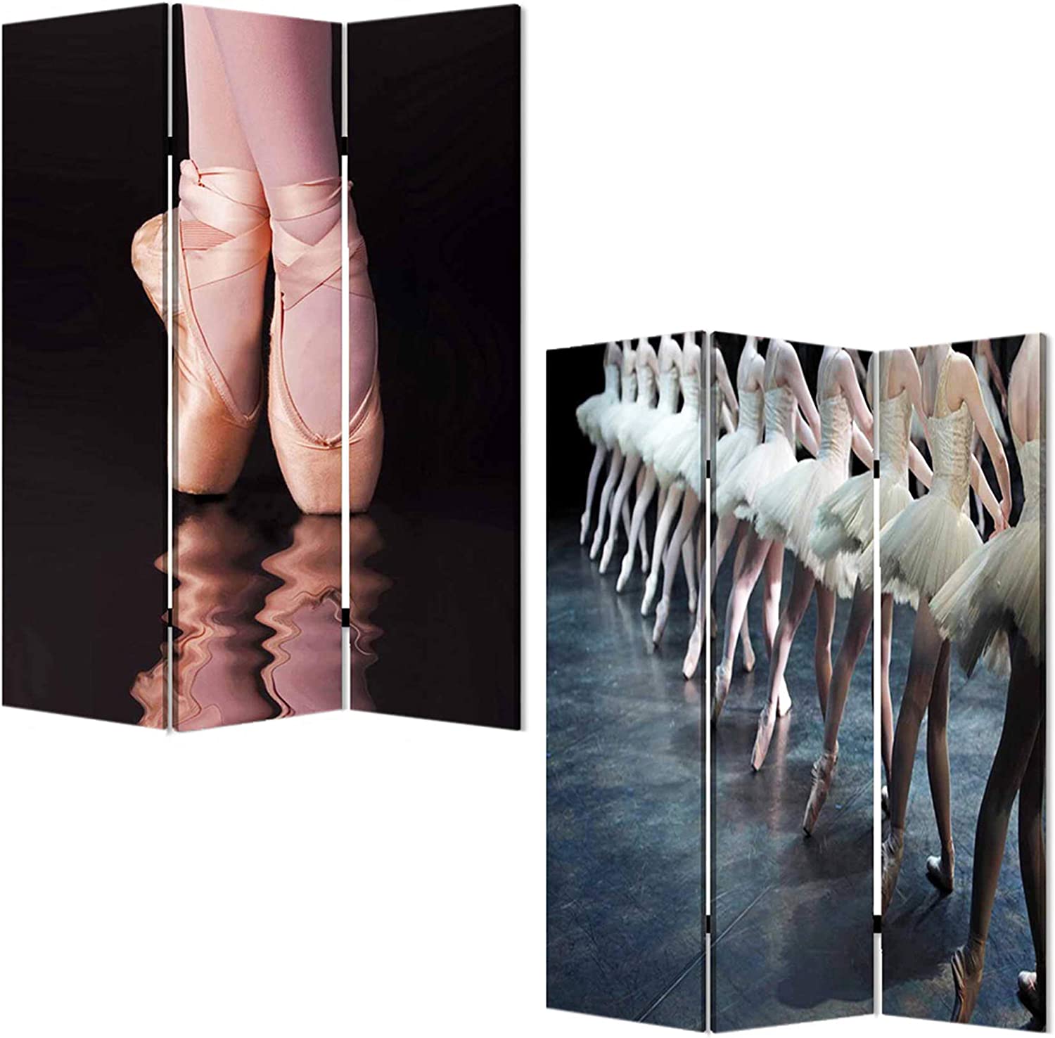 Screen Gems Ballet Room Divider