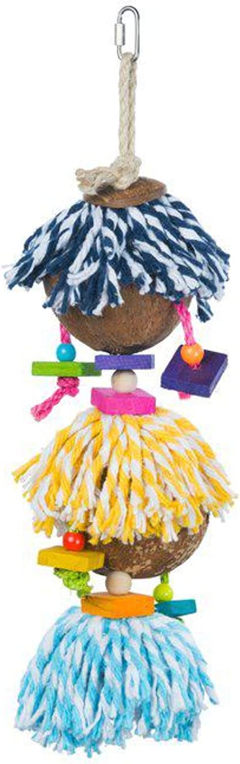 Prevue Ritual Dance Bird Toy LG