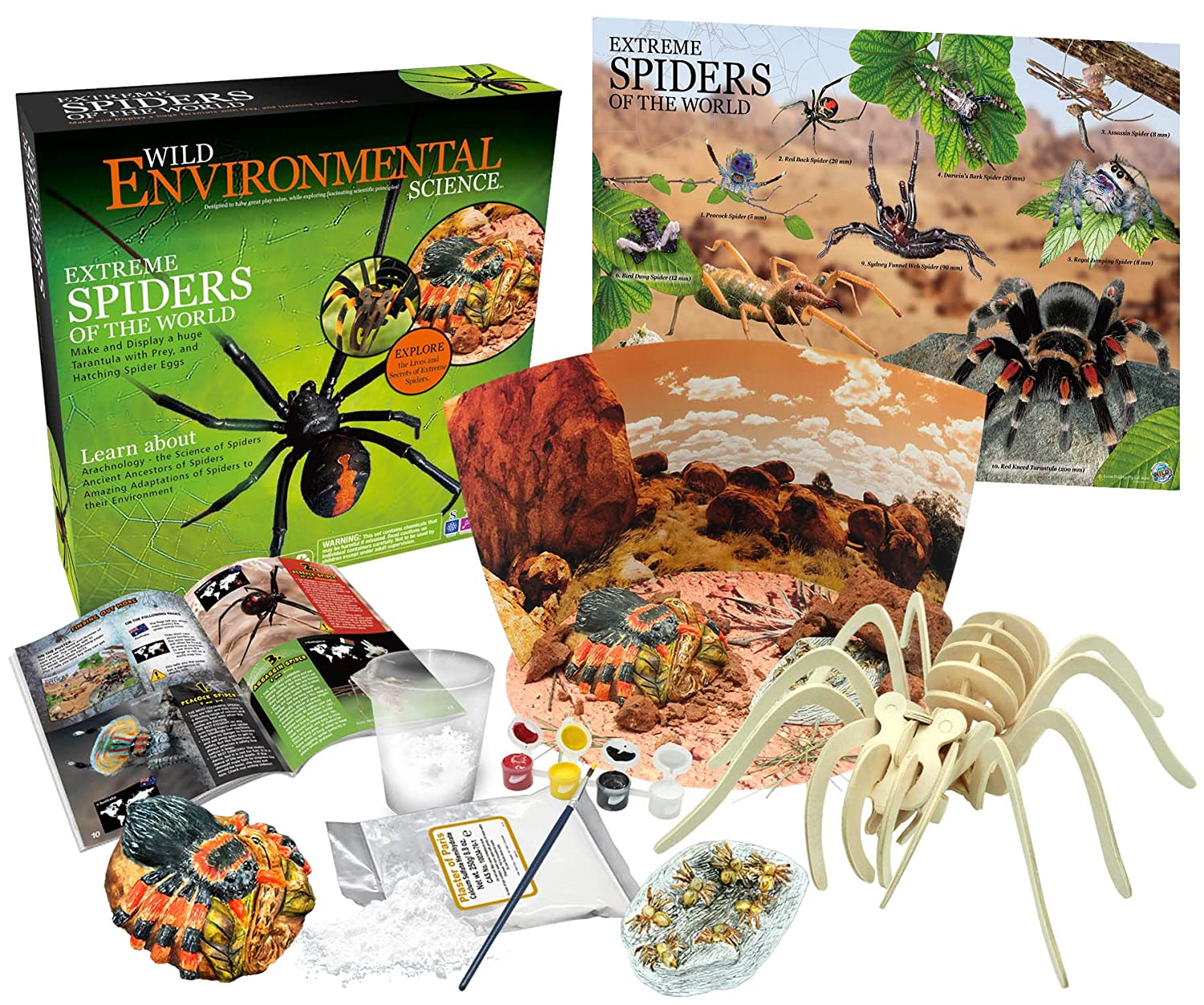 WILD ENVIRONMENTAL SCIENCE Extreme Spiders of the World - For Ages 6+ - Create and Customize Models and Dioramas - Study the Most Extreme Animals