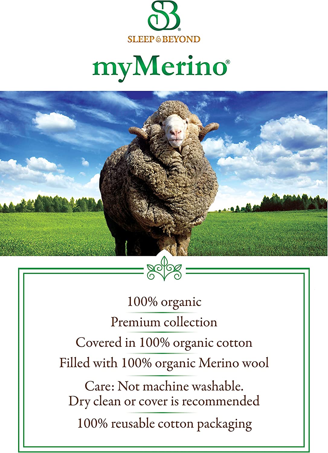 Sleep &amp; Beyond 72 by 84-Inch Organic Merino Wool Mattress Topper, California King, Ivory