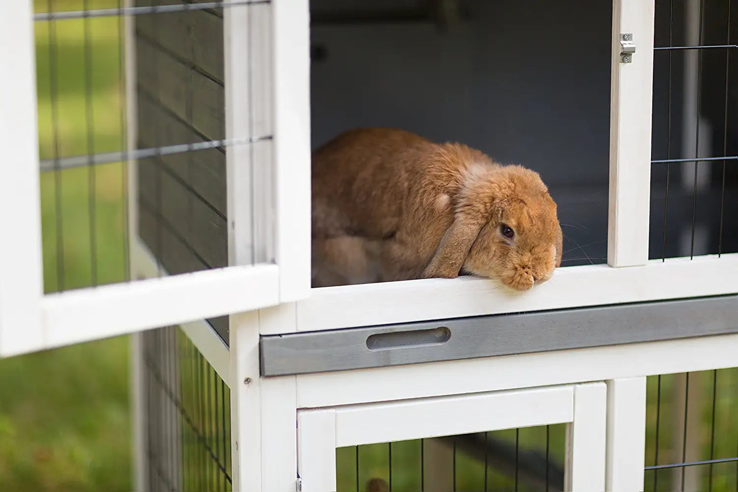 Prevue Pet Products 4601 Duplex Rabbit Hutch, Gray/White