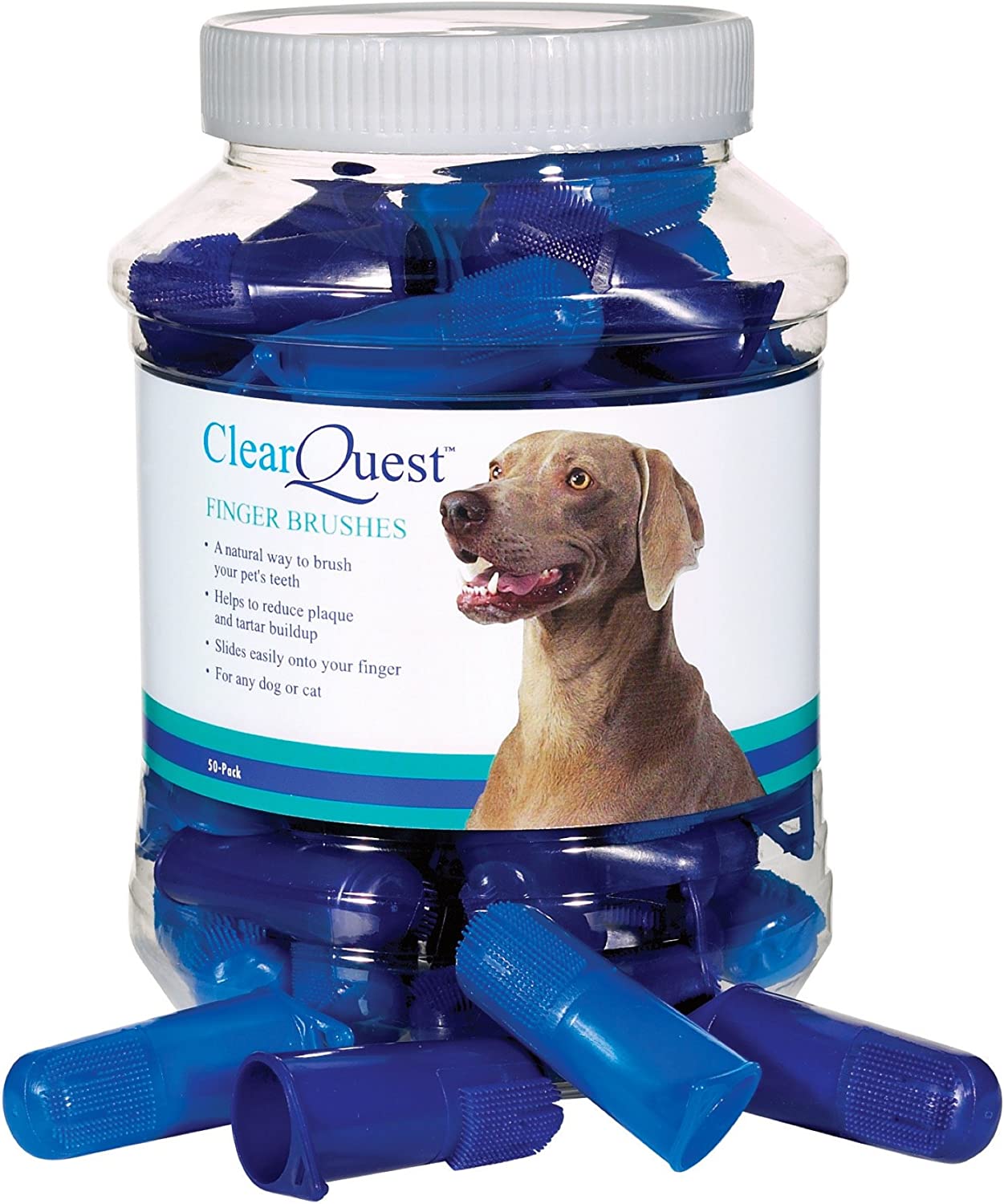 ClearQuest Finger Brush Canisters √É¬¢√¢‚Äö¬¨√¢‚Ç¨¬ù Convenient Toothbrushes for Cleaning Pets&#39; Teeth, 50-Pack