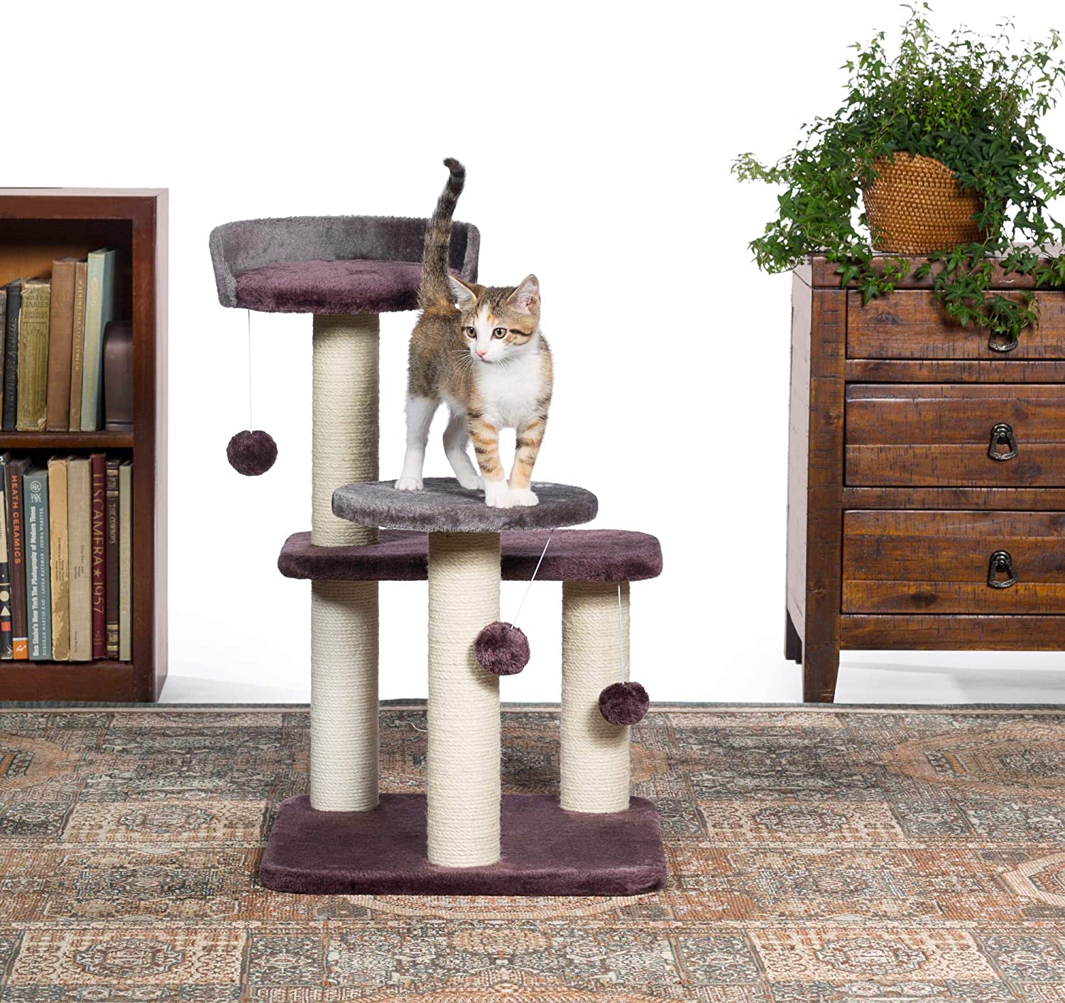 Prevue Pet Products Kitty Power Paws Play Palace 7301