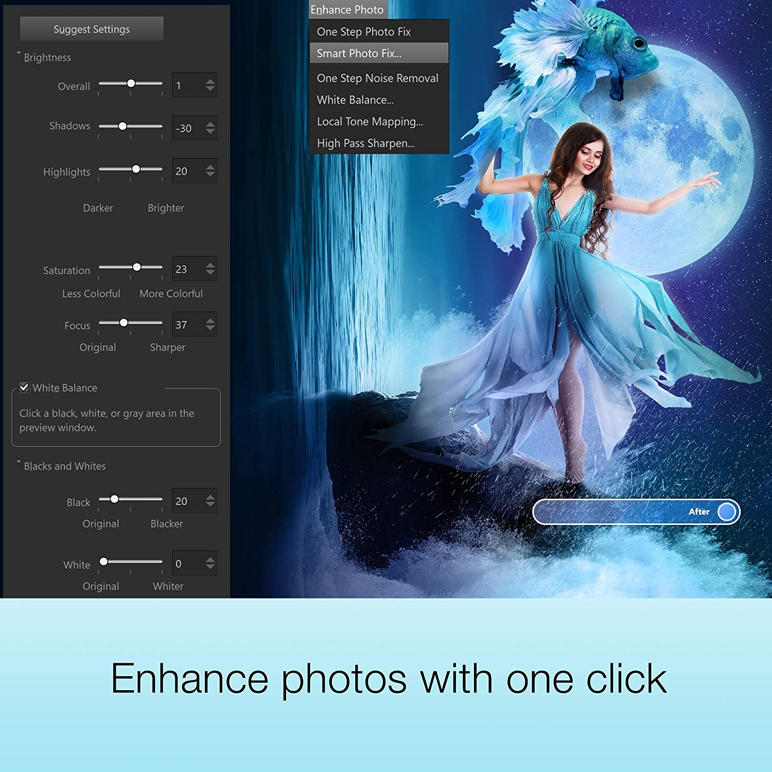 Photo Editing &amp; Graphic Design Software Plus Creative Collection [PC Disc] [Old Version]