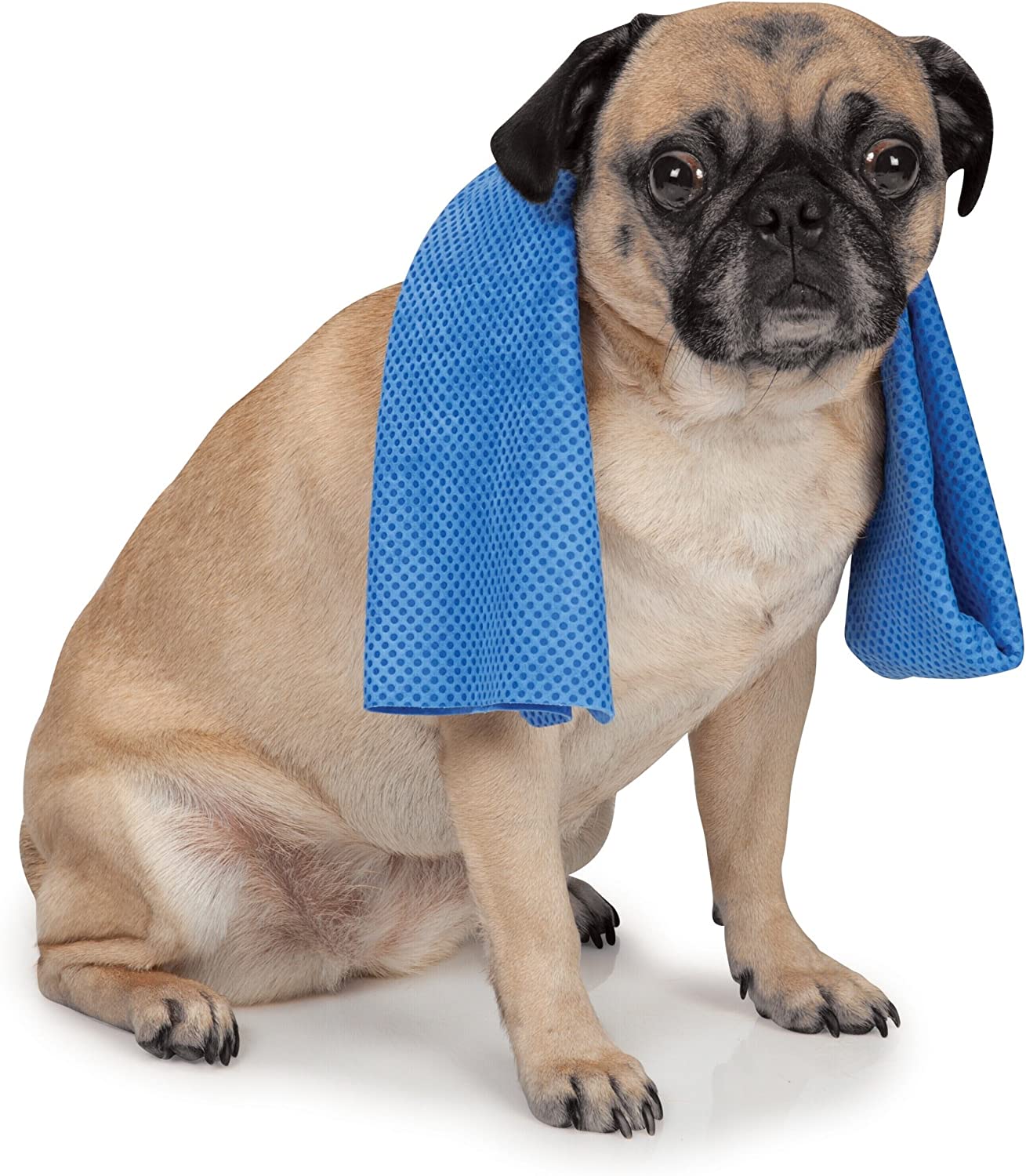 Cool Pup Dog Cooling Pet Towel