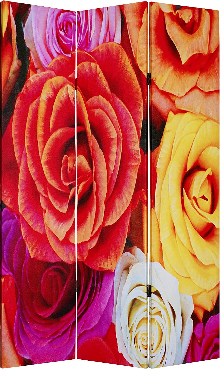 Screen Gems Daisy And Rose Room Divider