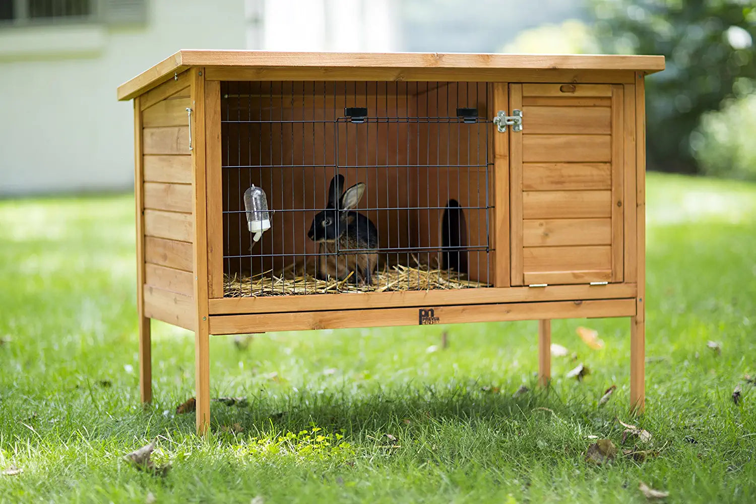 Prevue Hendryx 461 Large Rabbit Hutch, Stained Wood